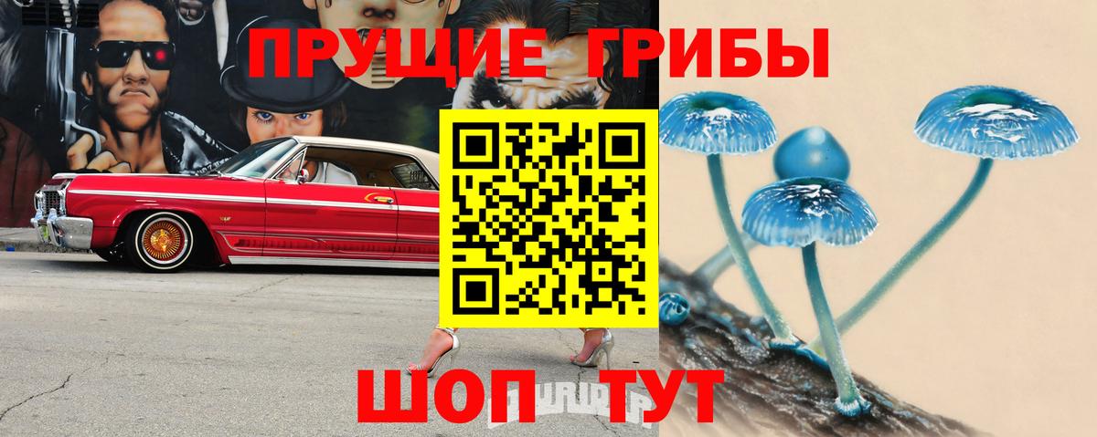 Псилоцибиновые грибы MAGIC MUSHROOMS  Вход с VPN  Нурлат 